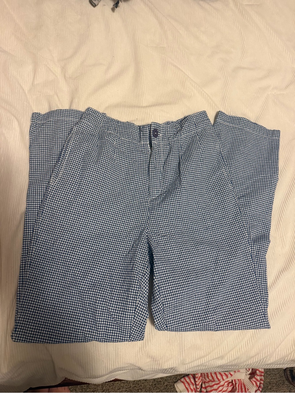 Women’s Free People Blue Gingham Dress Pants